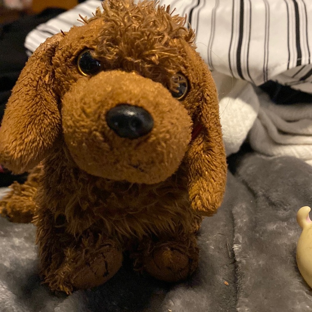 Ty beanie baby